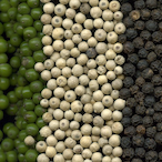 DerPfefferSack's Avatar'