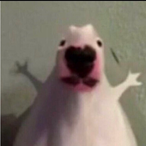 Poszidblee's Avatar'