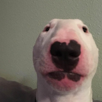 FudKisser's Avatar'