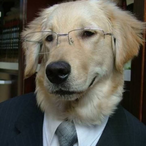 prefirin you's Avatar'