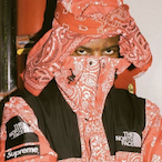 SchnitzelPanzer's Avatar'