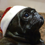 Giacomo168's Avatar'