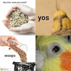 HeckaPeck69's Avatar'