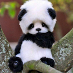 leprothug2's Avatar'