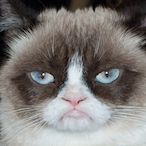 Kenway_CXV's Avatar'