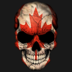 Soldier0fSilver's Avatar'