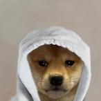 Ruskiito's Avatar'