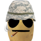 War-tato's Avatar'