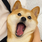 keaikoki's Avatar'