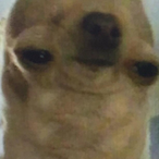 Carnage10501's Avatar'