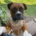 Wonisena15's Avatar'