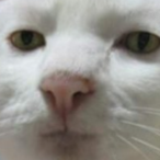 DampoeMaster's Avatar'