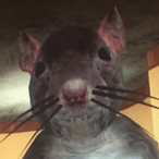Billyh4rr1s4's Avatar'