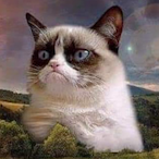 Mr_Merlinn's Avatar'