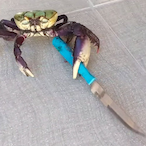 temp-63960951778's Avatar'