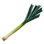The_Leek's Avatar'