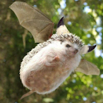 Kuz Que Quay's Avatar'