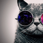 RoofinWithFarm's Avatar'