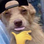 FaZe_Garfield's Avatar'