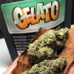 Gelato.47's Avatar'