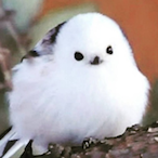 Suwany2's Avatar'