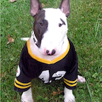 JC-Reebok56's Avatar