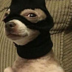 brokenowzski's Avatar'