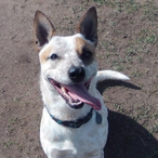 Valfaroth37's Avatar