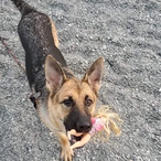 mruncornsosiska's Avatar