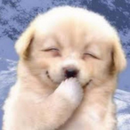 Kat.Janggu's Avatar'
