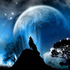 Dino.MPT's Avatar'