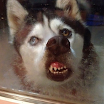 Sneakylike_'s Avatar