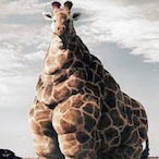 TheeChunks's Avatar'