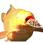 MagnificJan's Avatar'