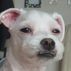 brandonknlght's Avatar'