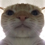Berkay078's Avatar'