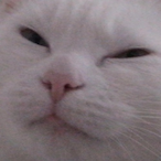 Feels_Max_man's Avatar'