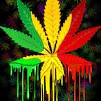 ONLY.2.GENDERS.'s Avatar'