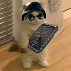 PepinoLechuza's Avatar'