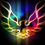 TripleD17's Avatar'