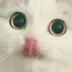 TurvSoprano's Avatar'