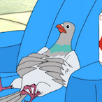 SiegeOfPigeons's Avatar'