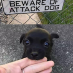 CamoLegend7's Avatar'