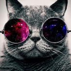 msamily's Avatar'
