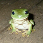 FreakyLaxel's Avatar'