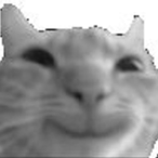 NiceCaulkBro's Avatar'