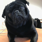 ReneRedo.XXL's Avatar'