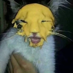 TheCheeseTouche's Avatar'