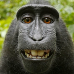 rmusa72's Avatar'