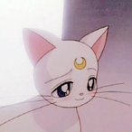 Cat_______'s Avatar'
